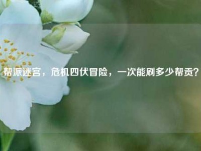 帮派迷宫，危机四伏冒险，一次能刷多少帮贡？