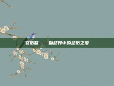 哀伤苔——自然界中的悲伤之语