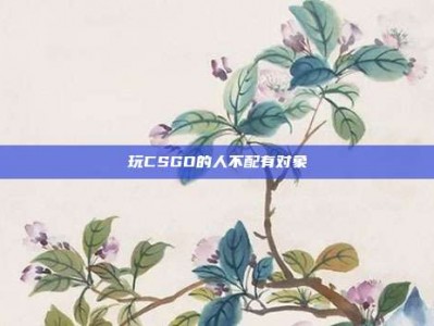 玩CSGO的人不配有对象