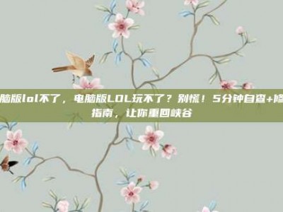 电脑版lol不了，电脑版LOL玩不了？别慌！5分钟自查+修复指南，让你重回峡谷