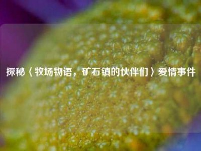 探秘〈牧场物语，矿石镇的伙伴们〉爱情事件