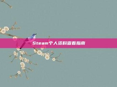 Steam个人资料查看指南