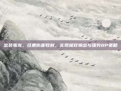 出装毒龙，狂暴伤害收割，实现极致输出与强势BP策略