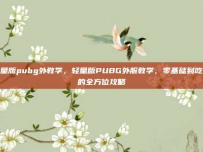轻量版pubg外教学，轻量版PUBG外服教学，零基础到吃鸡的全方位攻略