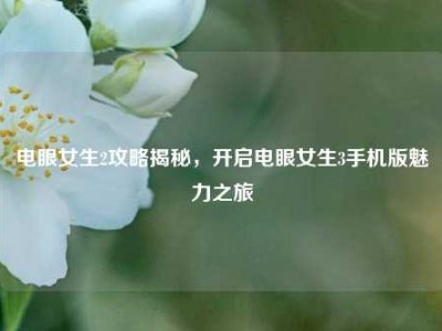 电眼女生2攻略揭秘，开启电眼女生3手机版魅力之旅