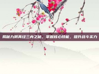 揭秘九阴真经三内之秘，掌握核心技能，提升战斗实力