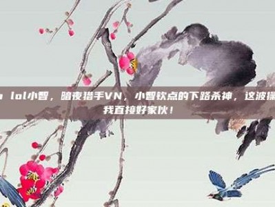 vn lol小智，暗夜猎手VN，小智钦点的下路杀神，这波操作我直接好家伙！