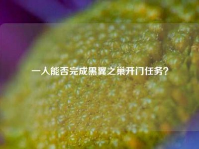 一人能否完成黑翼之巢开门任务？