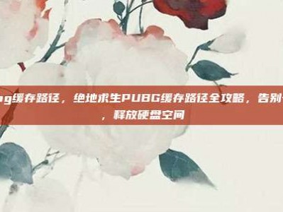 pubg缓存路径，绝地求生PUBG缓存路径全攻略，告别卡顿，释放硬盘空间