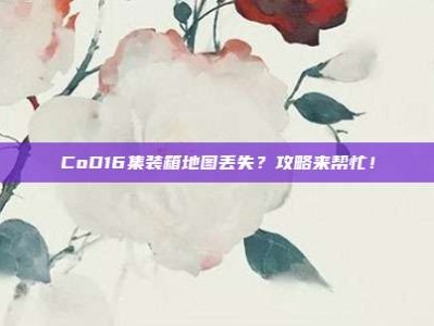 CoD16集装箱地图丢失？攻略来帮忙！