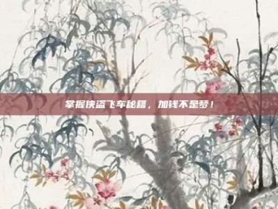 掌握侠盗飞车秘籍，加钱不是梦！