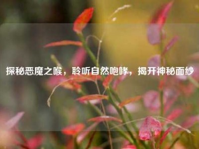 探秘恶魔之喉，聆听自然咆哮，揭开神秘面纱