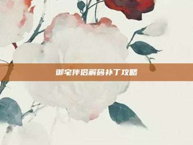 御宅伴侣解码补丁攻略
