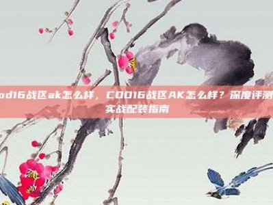 cod16战区ak怎么样，COD16战区AK怎么样？深度评测与实战配装指南