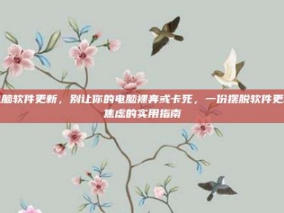 电脑软件更新，别让你的电脑裸奔或卡死，一份摆脱软件更新焦虑的实用指南