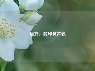 悬赏，封印食梦貘