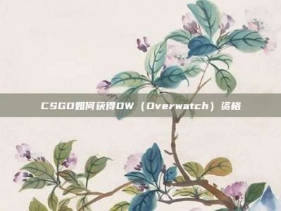 CSGO如何获得OW（Overwatch）资格