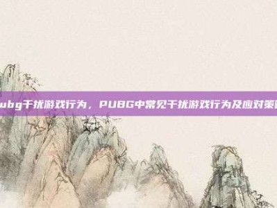 pubg干扰游戏行为，PUBG中常见干扰游戏行为及应对策略