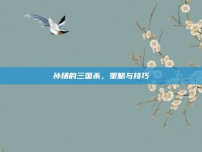 孙扬的三国杀，策略与技巧