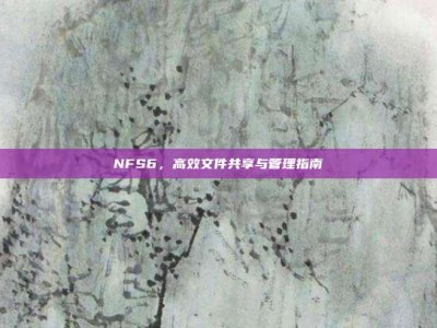NFS6，高效文件共享与管理指南