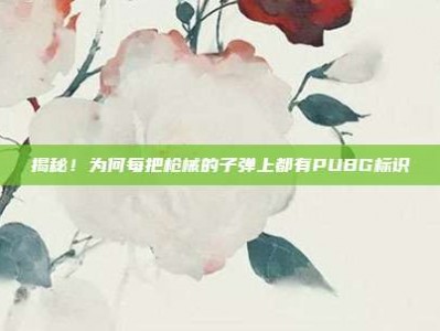 揭秘！为何每把枪械的子弹上都有PUBG标识