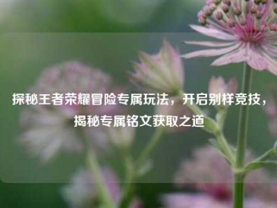 探秘王者荣耀冒险专属玩法，开启别样竞技，揭秘专属铭文获取之道