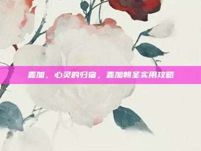 麦加，心灵的归宿，麦加朝圣实用攻略