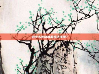 为什么英雄联盟无法注册？