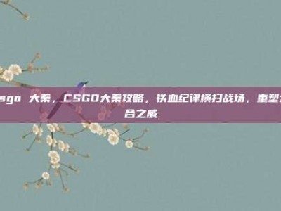 csgo 大秦，CSGO大秦攻略，铁血纪律横扫战场，重塑六合之威