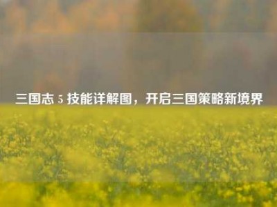 三国志 5 技能详解图，开启三国策略新境界