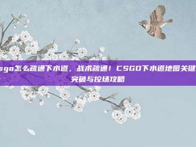 csgo怎么疏通下水道，战术疏通！CSGO下水道地图关键点突破与控场攻略