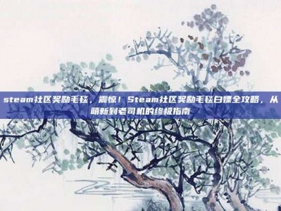 steam社区奖励毛毯，震惊！Steam社区奖励毛毯白嫖全攻略，从萌新到老司机的终极指南