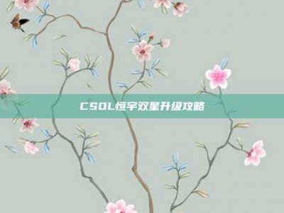 CSOL恒宇双星升级攻略
