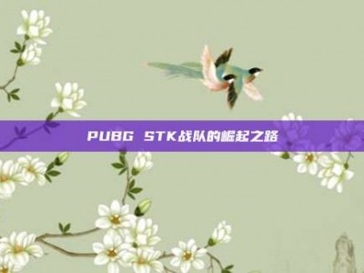 PUBG STK战队的崛起之路