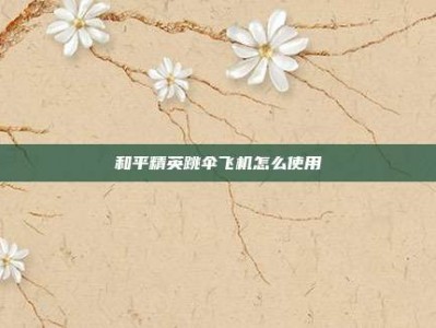 和平精英跳伞飞机怎么使用