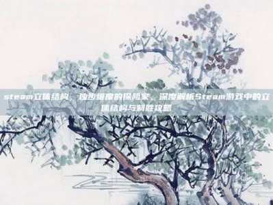 steam立体结构，独步维度的探险家，深度解析Steam游戏中的立体结构与制胜攻略