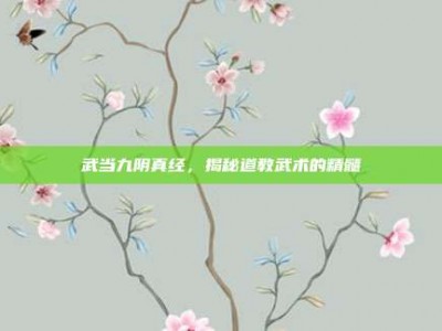 武当九阴真经，揭秘道教武术的精髓