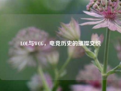 LOL与WCG，电竞历史的璀璨交织