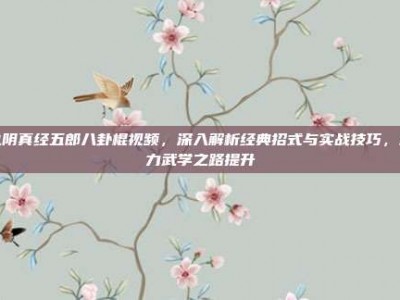 九阴真经五郎八卦棍视频，深入解析经典招式与实战技巧，助力武学之路提升