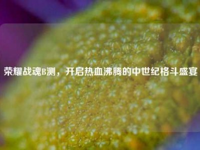 荣耀战魂B测，开启热血沸腾的中世纪格斗盛宴