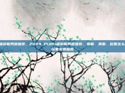 pubg端游服务器推荐，2024 PUBG端游服务器推荐，亚服、美服、欧服怎么选？老玩家实测指南