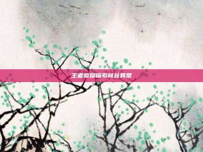 王者荣耀探索峡谷异常