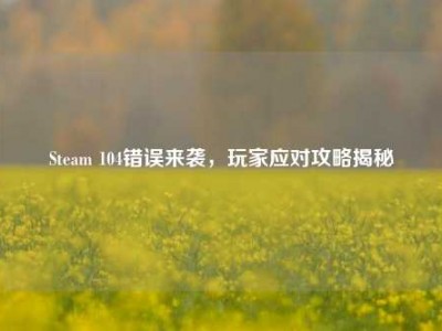 Steam 104错误来袭，玩家应对攻略揭秘