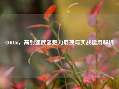 COD16，高射速武器魅力展现与实战运用解析