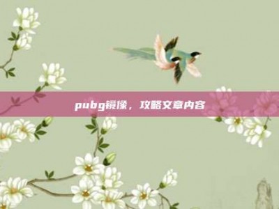 pubg镜像，攻略文章内容