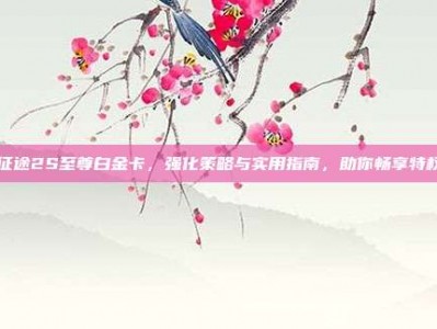 征途2S至尊白金卡，强化策略与实用指南，助你畅享特权
