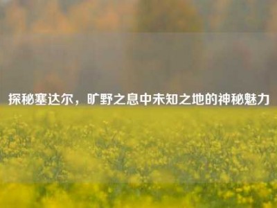 探秘塞达尔，旷野之息中未知之地的神秘魅力