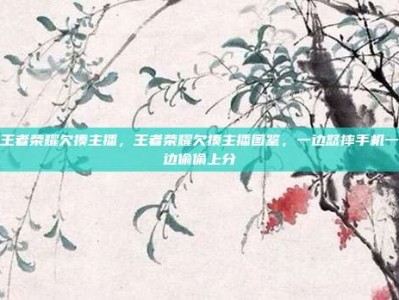 王者荣耀欠揍主播，王者荣耀欠揍主播图鉴，一边怒摔手机一边偷偷上分