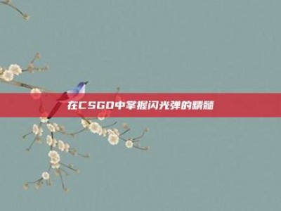 在CSGO中掌握闪光弹的精髓