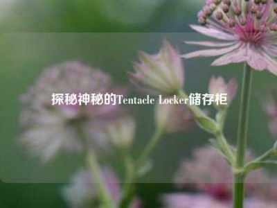 探秘神秘的Tentacle Locker储存柜